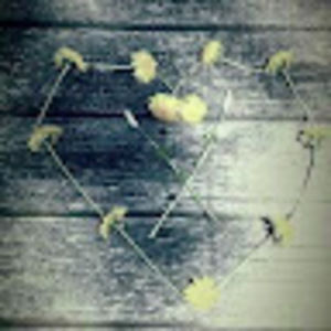 Meet your Posher, Alexandrea